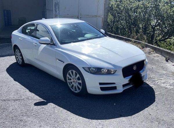 PHOTO-2025-11-21-16-11-00_1