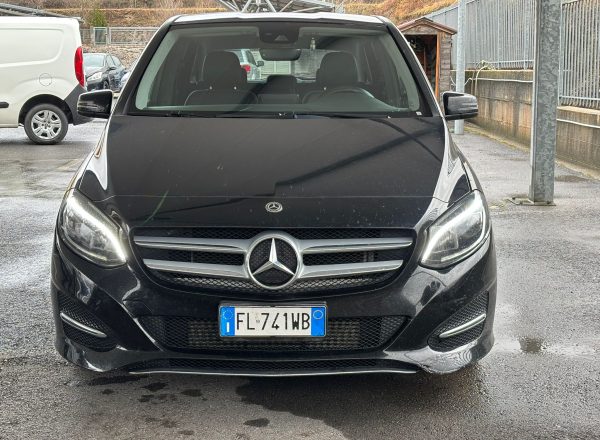 WhatsApp Image 2026-01-31 at 12.20.55